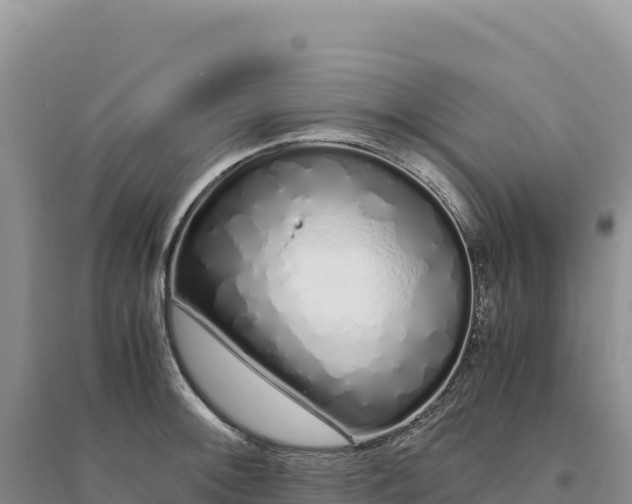 X0000094361092200711091509