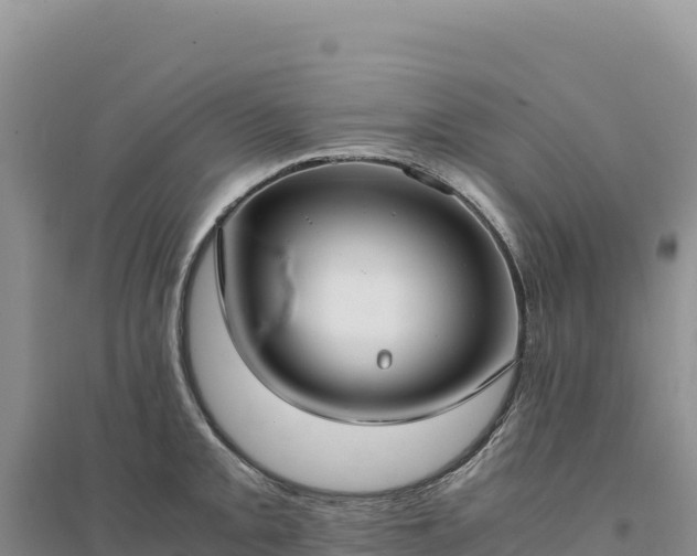 X0000094361093200711091509