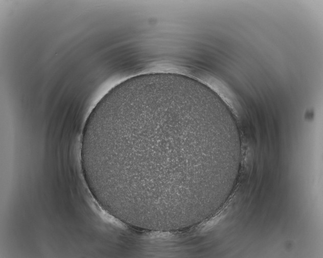 X0000094361094200711091509