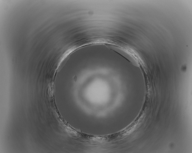 X0000094361097200711091509