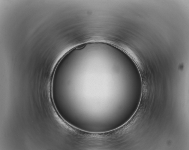 X0000094361100200711091509