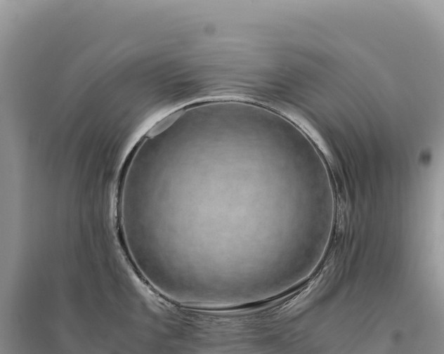 X0000094361101200711091509