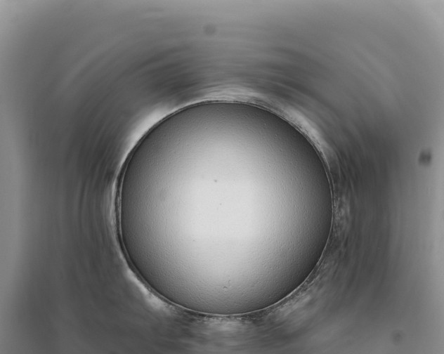 X0000094361103200711091509