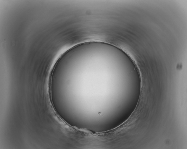 X0000094361104200711091509