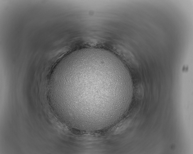 X0000094361105200711091508