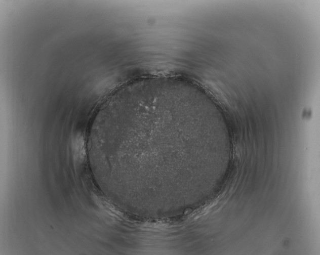 X0000094361106200711091508