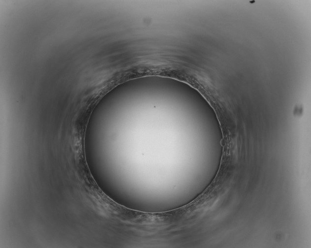 X0000094361109200711091508