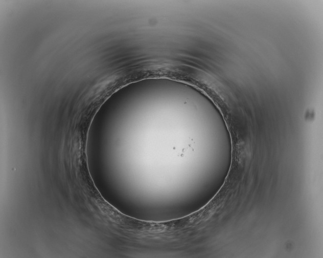 X0000094361111200711091508
