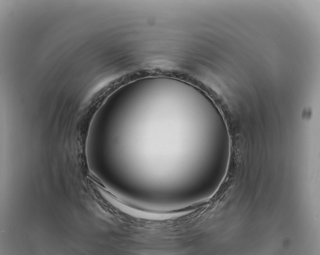 X0000094361112200711091508