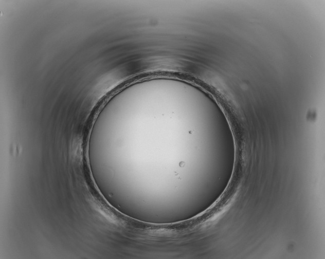X0000094361113200711091508