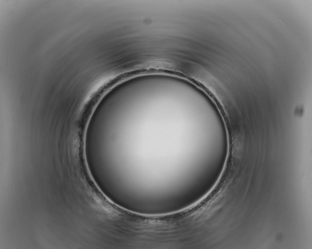 X0000094361115200711091508