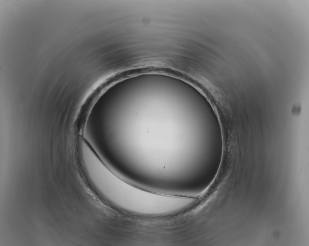 X0000094361118200711091509