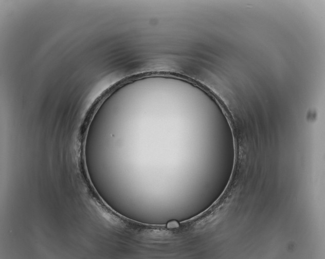 X0000094361119200711091509