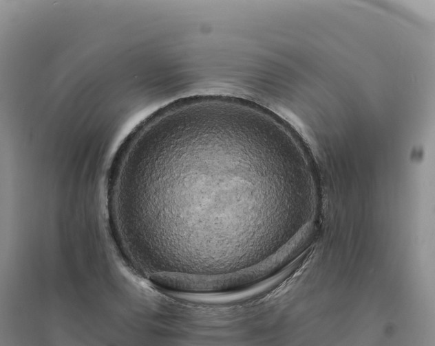 X0000094361120200711091509