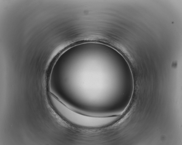 X0000094361122200711091509