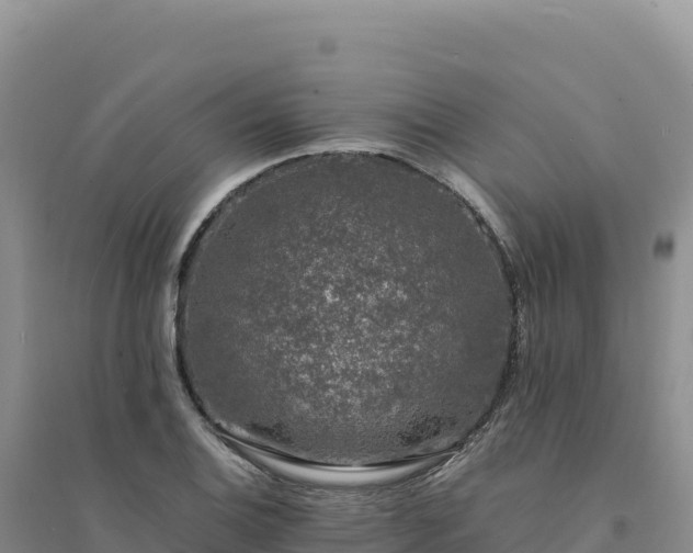 X0000094361124200711091509