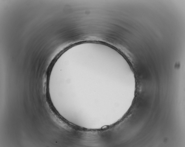 X0000094361126200711091509