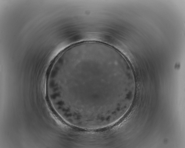 X0000094361127200711091509