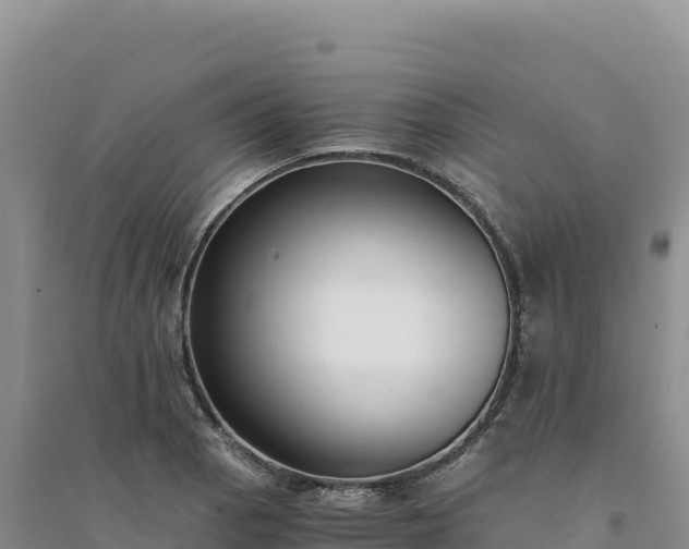 X0000094361129200711091509