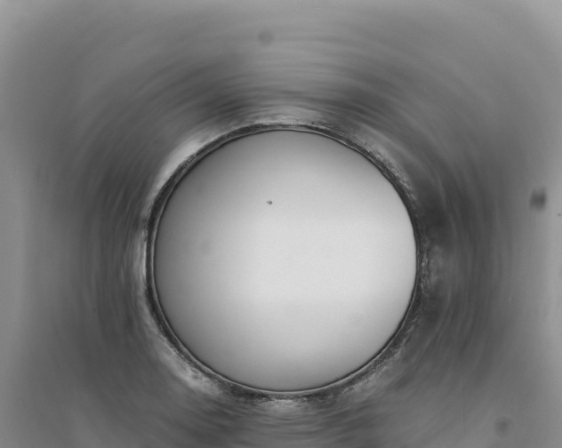 X0000094361130200711091509