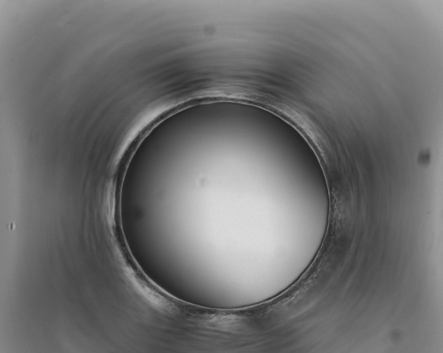 X0000094361131200711091509