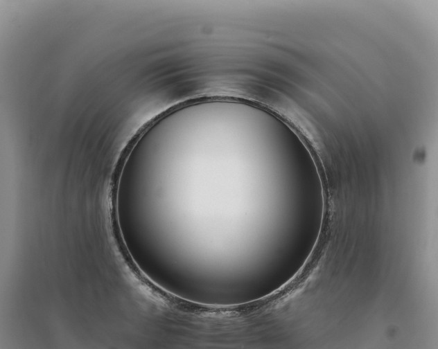 X0000094361133200711091509
