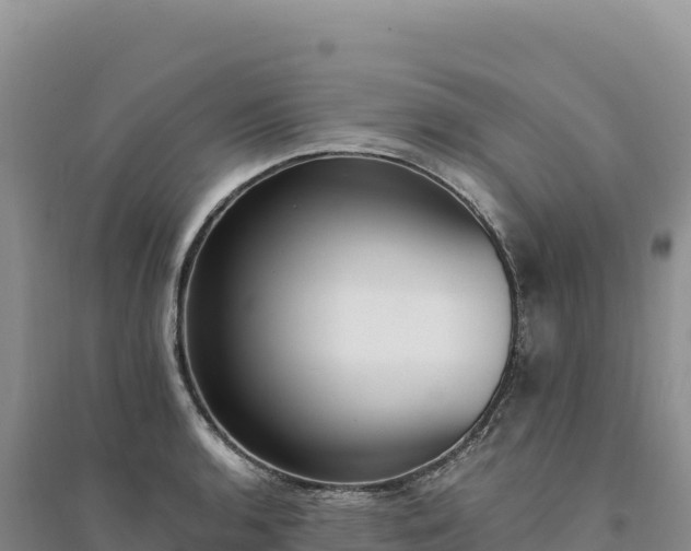 X0000094361136200711091509