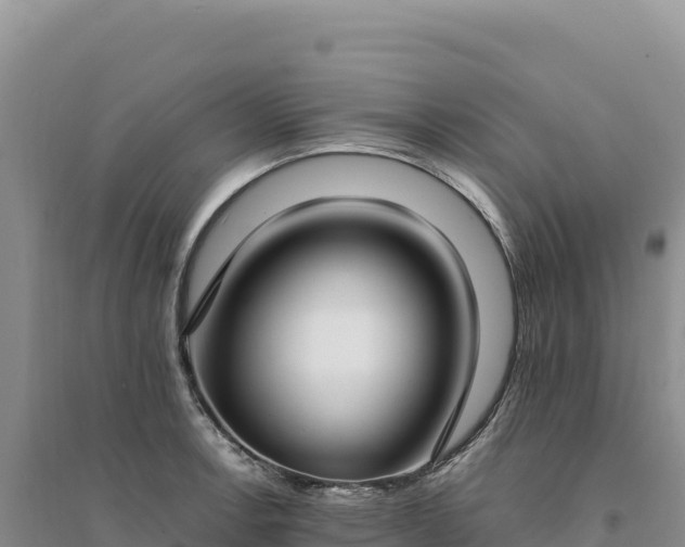 X0000094361138200711091509