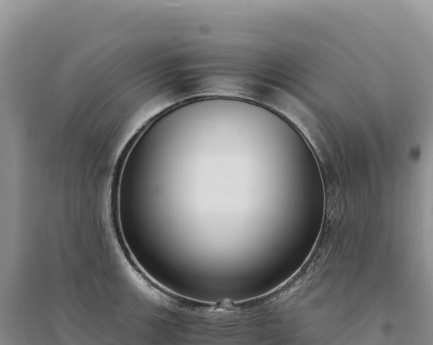 X0000094361139200711091509
