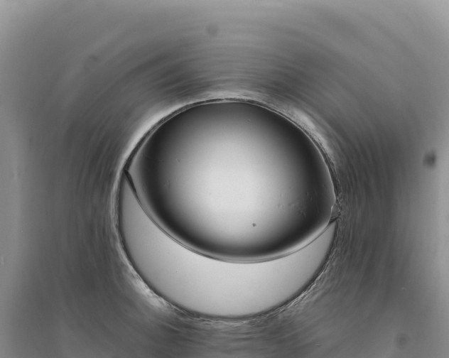 X0000094361140200711091509