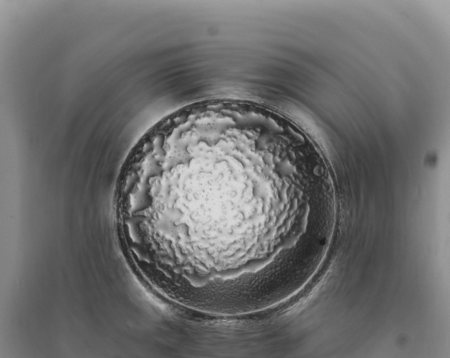 X0000094361141200711091509