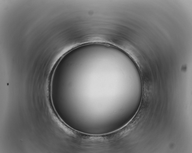 X0000094361142200711091509