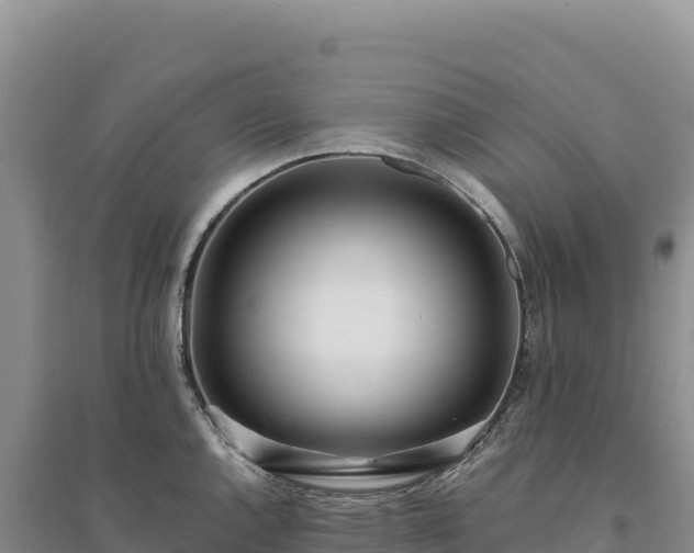 X0000094361144200711091509