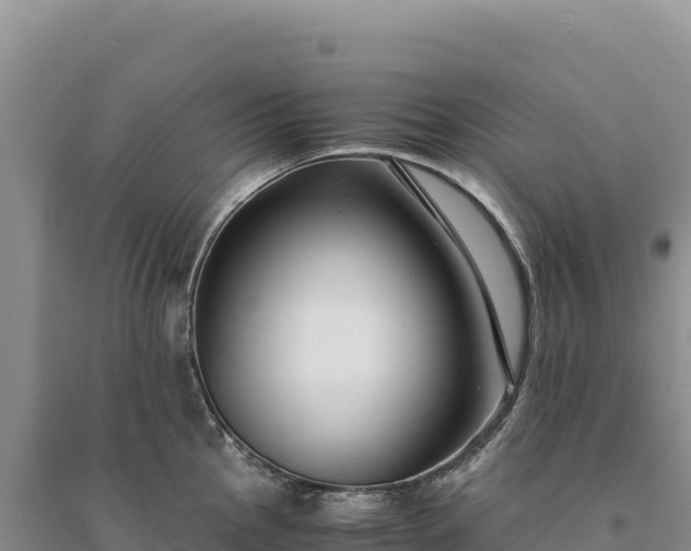 X0000094361145200711091509