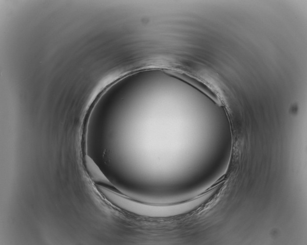 X0000094361146200711091509