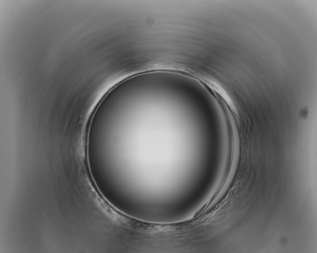 X0000094361148200711091509