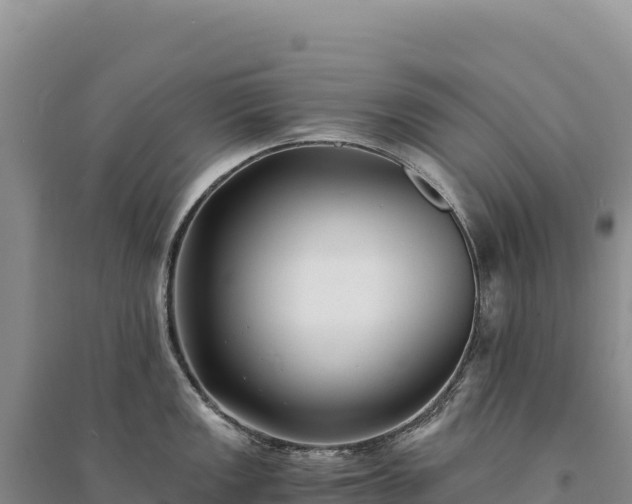 X0000094361149200711091509