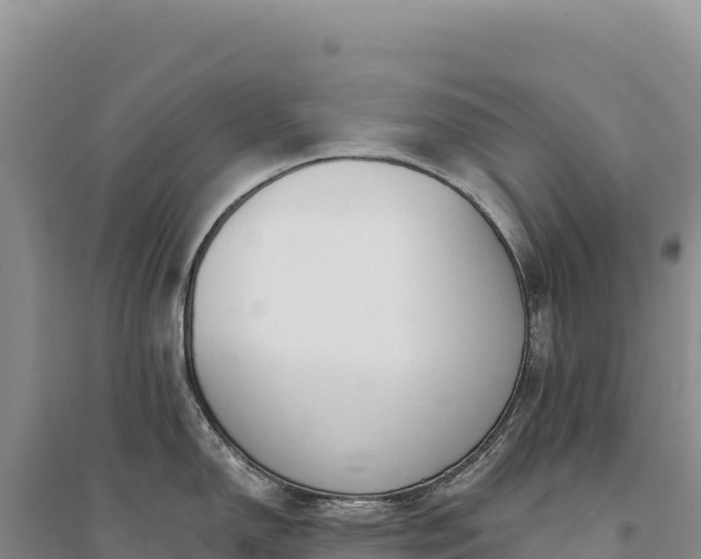 X0000094361150200711091509
