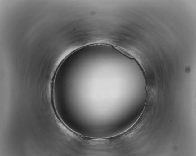 X0000094361151200711091509