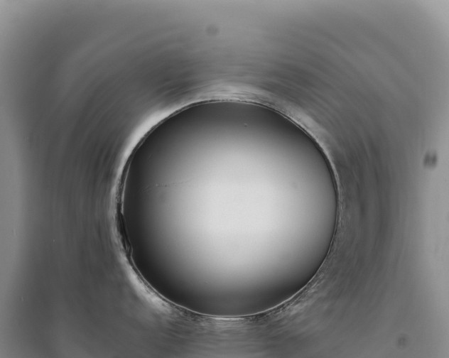 X0000094361152200711091509