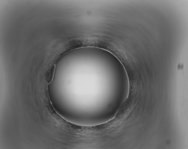 X0000094361153200711091508
