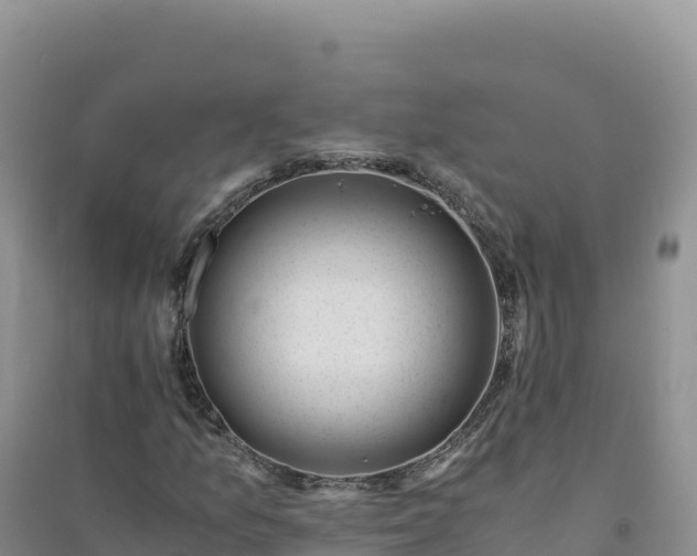 X0000094361157200711091508