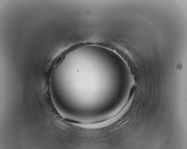 X0000094361160200711091508