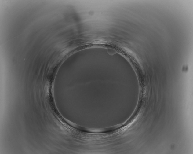 X0000094361161200711091508