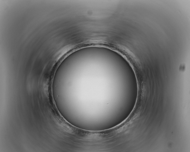 X0000094361162200711091508