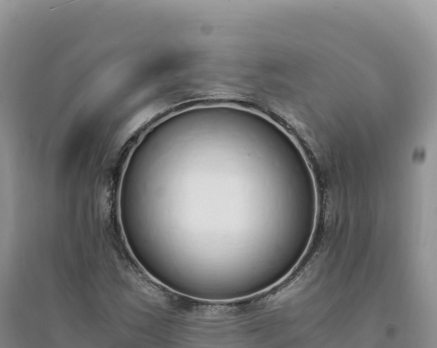 X0000094361163200711091508