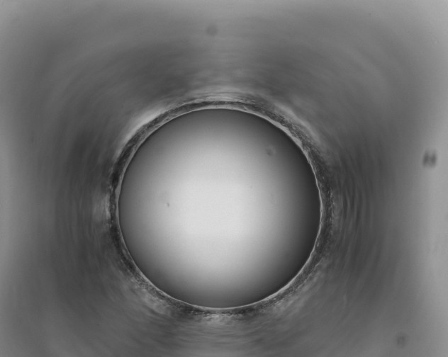 X0000094361166200711091508