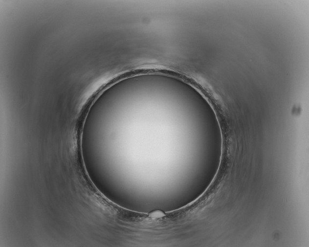 X0000094361167200711091508