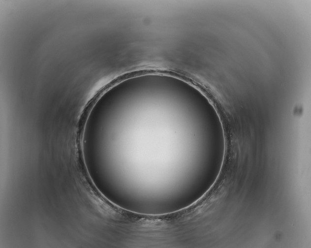 X0000094361168200711091508