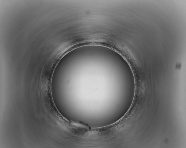 X0000094361169200711091508
